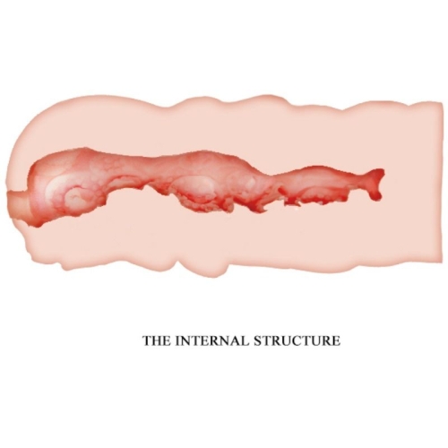 Isabel Vagina Masturbator 13,5cm innenansicht