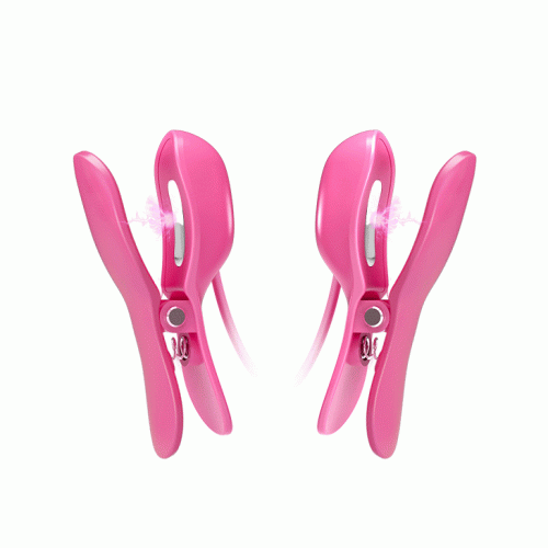 Nippelklemmen Mit Vibration Und Strom - Fuchsia