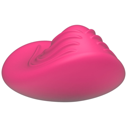 Panty Vibe Fernbedienung | Happy Loky
