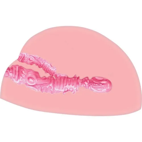 Horny Fick Anal Und Vagina Masturbator Mit Vibrator – Act