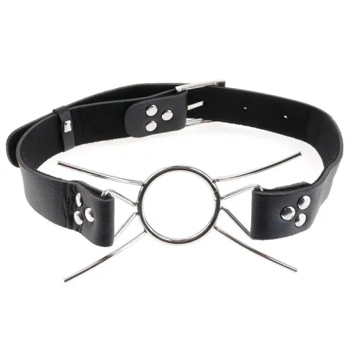 Black leather collar with metal ring and bars, adjustable with buckle and rivets.