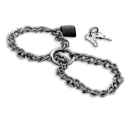 Metal chain with padlock and two keys next to it.