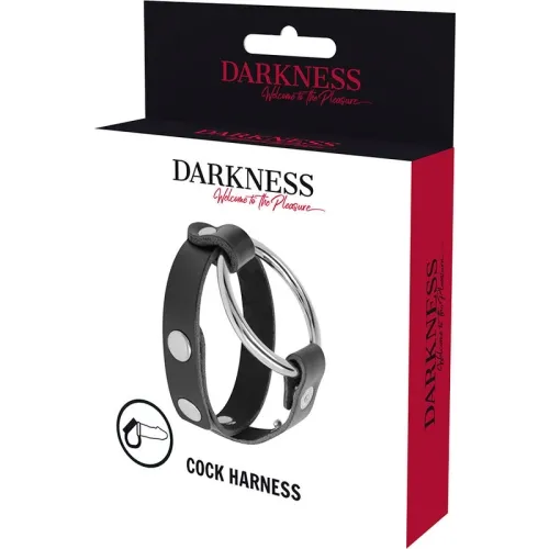 Bdsm Cock- Und Hodenring – Darkness