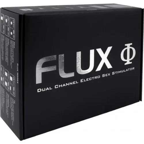 Schwarze Box mit silberner Aufschrift "FLUX Dual Channel Electro Sex Stimulator".
