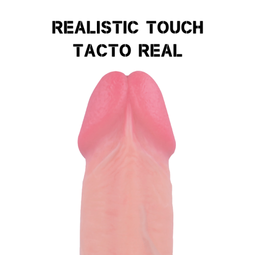 Harness + Premium Dildo Avenger 19cm | Rockarmy