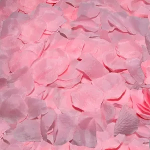 100 Rosa Blätter – Diablo Picante