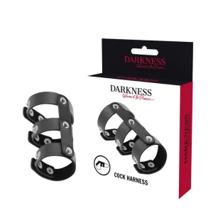 Verstellbarer Doppel Penis- Und Hodenring Aus Leder – Darkness