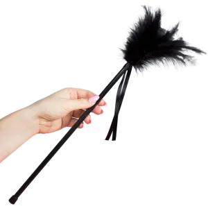 Schwarze Federn 40cm – Secretplay