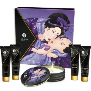 Set mit Shunga-Produkten, darunter Massageöl, Gleitmittel und Kerze, vor einer Verpackung mit japanischer Kunst.
