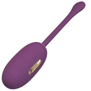 Purple, egg-shaped vibrator with a long handle and golden accents.