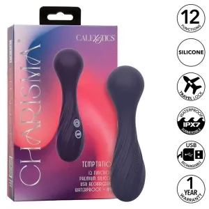 Purple vibrator with packaging, 12 functions, silicone, waterproof, USB rechargeable, 1 year warranty.