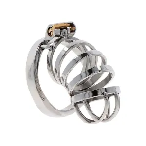 Metallischer Keuschheitskäfig mit Schloss, bestehend aus mehreren Ringen und einer geschlossenen Spitze.