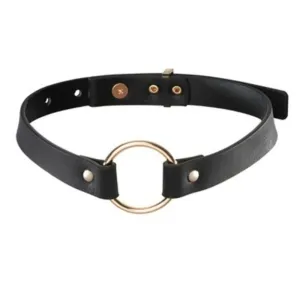 Black leather collar with a gold-colored ring in the middle and adjustable closure.