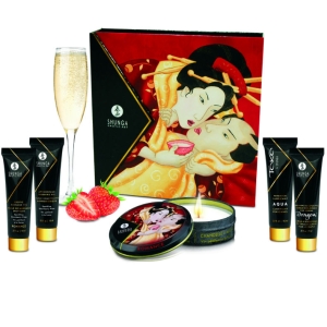 Geisha Secret Kit Exotischer Grüner Tee | Shunga